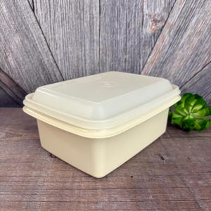 Vintage Tupperware Lunch Box