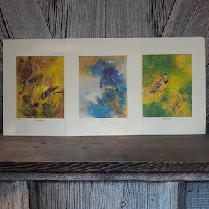 3 Bird Prints Ted Carlson Blue Jay Meadowlark Goldfinch Pates II-IV [14 x 11 Inches] Home Decor