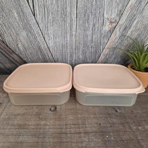 May include: Two square food storage containers with translucent bases and solid light pink lids. The containers feature rounded corners and a flat, smooth surface design, providing a clear view of the interior space for organized kitchen storage.