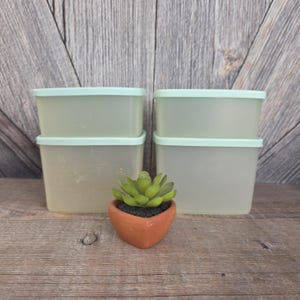 May include: Four rectangular, translucent food storage containers with light green lids are stacked on a wooden surface. A small, heart-shaped terracotta pot with a green succulent plant sits in front of the containers.