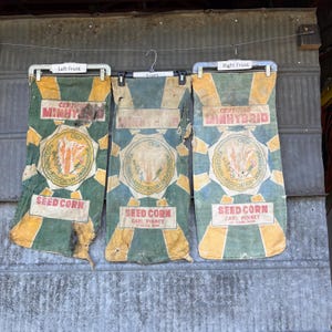 May include: Three vintage seed corn sacks hanging against a corrugated metal wall. The sacks are green, yellow, and white, with text and a circular emblem. The text reads "Certified Minhybrid" and "Seed Corn".
