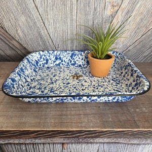 May include: A rectangular enamelware tray with a blue and white speckled pattern and a black rim. A small terracotta pot with a green plant sits on the tray. The tray is on a wooden surface.