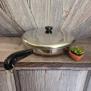 May include: A stainless steel skillet with a black handle and lid. The skillet is on a wooden surface with a small terracotta pot with a green succulent plant.