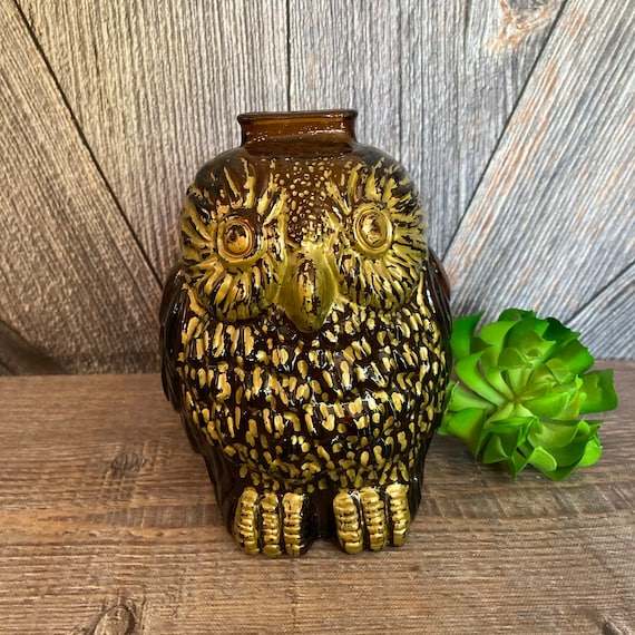 Vintage Owl Piggy Bank Glass Wise Old Owl Bank {vintage Coin Bank