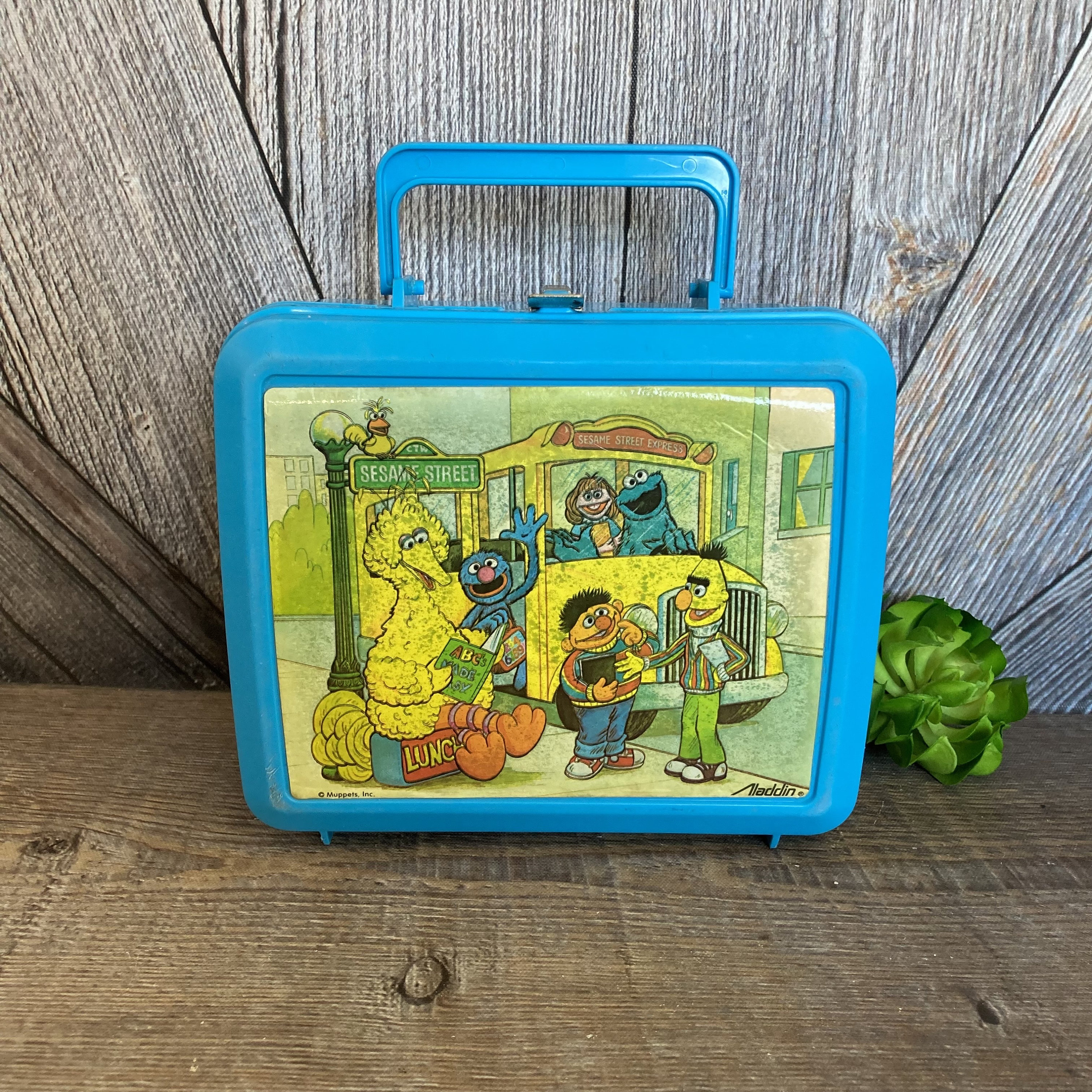 Sesame Street Lunch Box {vintage 90's Blue Plastic Lunch Box