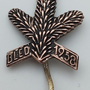 CLIMBING MOUNTAINEERING Slovenia, Bled 1958. old vintage, pin, badge, lapel !
