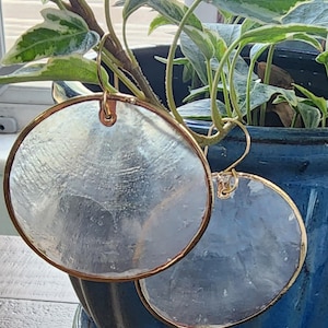 May include: A pair of round, iridescent earrings with a gold-colored metal trim. The earrings are hanging in front of a blue ceramic pot with green and white leafy plants. The earrings have a delicate, natural appearance.
