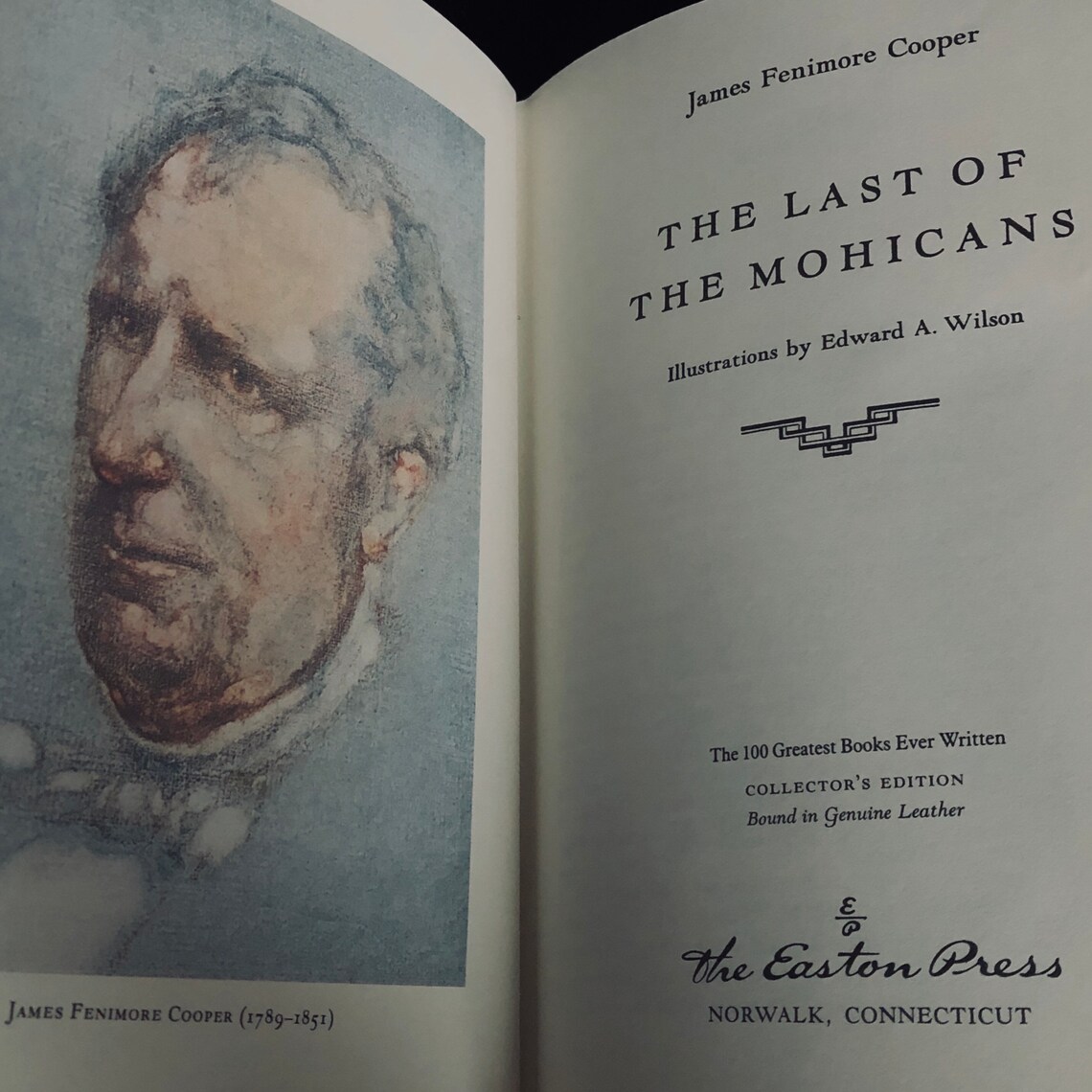 Essay last mohicans image