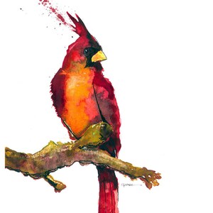 Watercolor Bird, Watercolor, Cardinal, Print