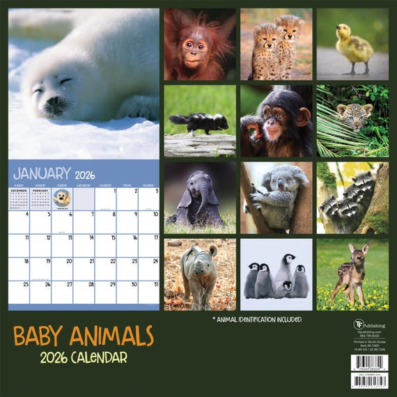 Calendrier Mural 2026 - Format Vertical 27.9 X 43.2 Cm, Motifs Bébés Animaux, Avec Phases De Lune Et Jours Fériés.