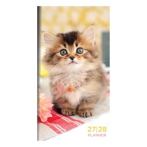 May include: A fluffy brown and black kitten with large green eyes wearing a beaded collar with a pink circular charm. The kitten is positioned above text that reads 27|28 PLANNER in yellow and pink lettering on a white and red patterned surface.