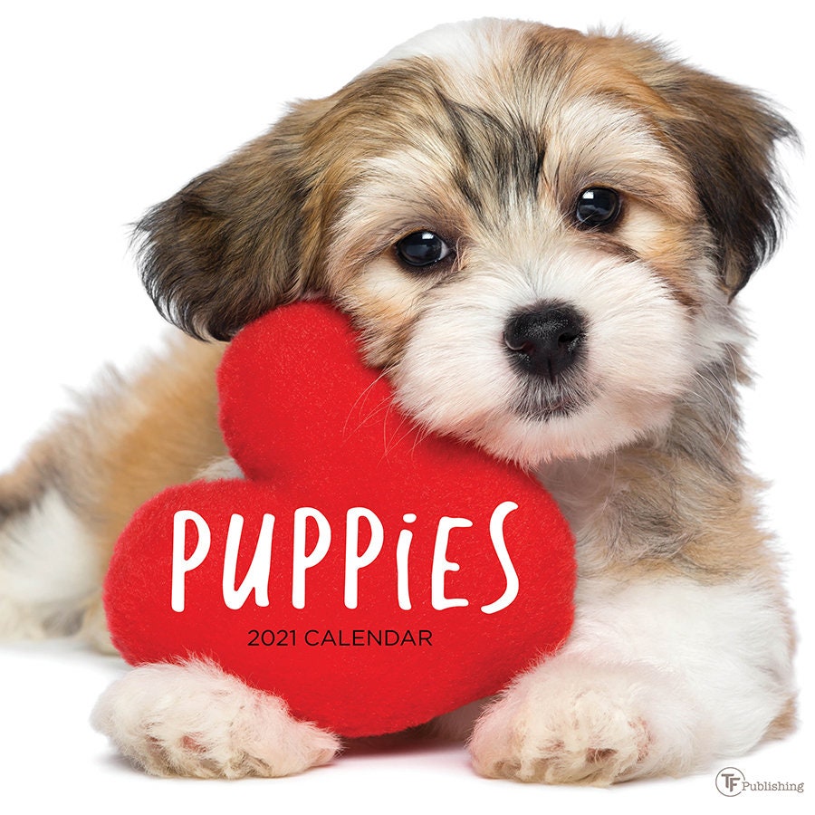 2021 Puppies Wall Calendar 12x12 Etsy