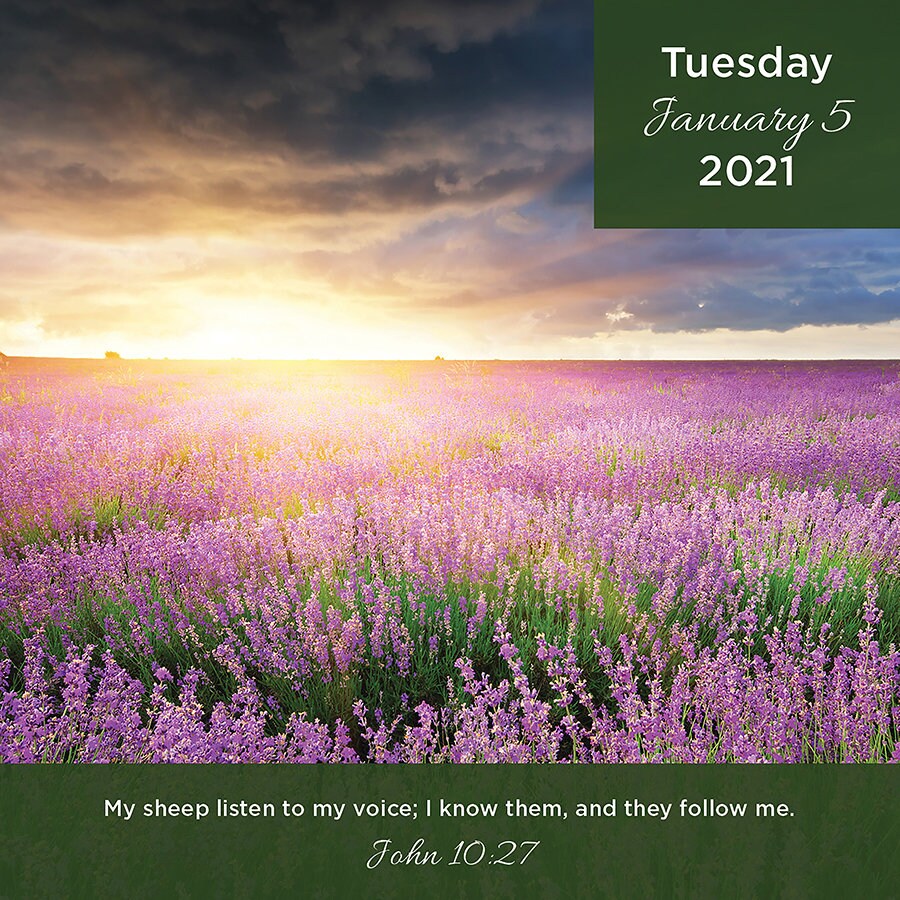 2021 Daily Verse Daily Desktop Box Calendar 5.5x5.5 Daily | Etsy