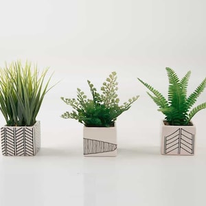 May include: Three potted plants with different types of greenery. The plants are in white ceramic pots with black geometric patterns.
