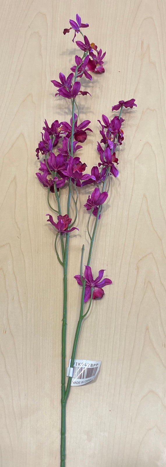 Oncidium (Dancing Lady Orchid) cutting