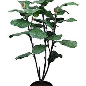 ARTIFICIAL Real Touch Lush Fiddle Leaf Tree - 5ft ARTIFICIAL