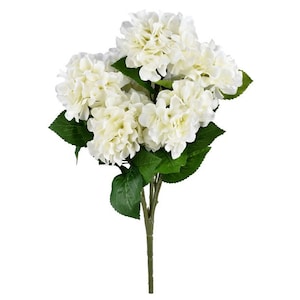 May include: A bouquet of white hydrangea flowers with green leaves. The flowers are arranged in a cluster and have a soft, delicate appearance.