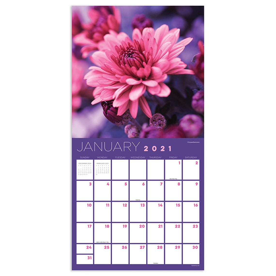 2021 Flowers Wall Calendar 12x12 Etsy