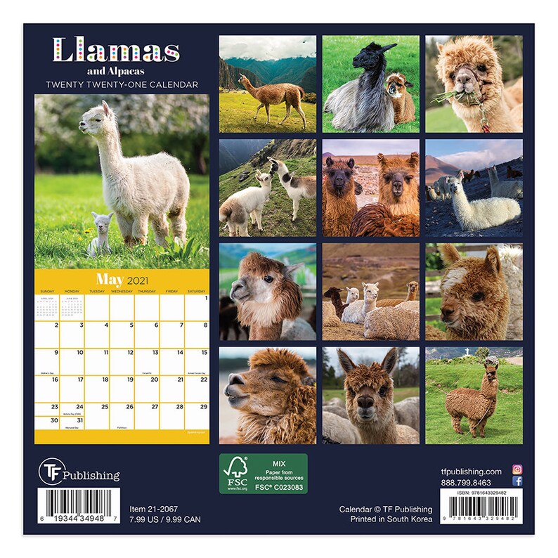2021 Llamas Mini Wall Calendar 7x7 Etsy
