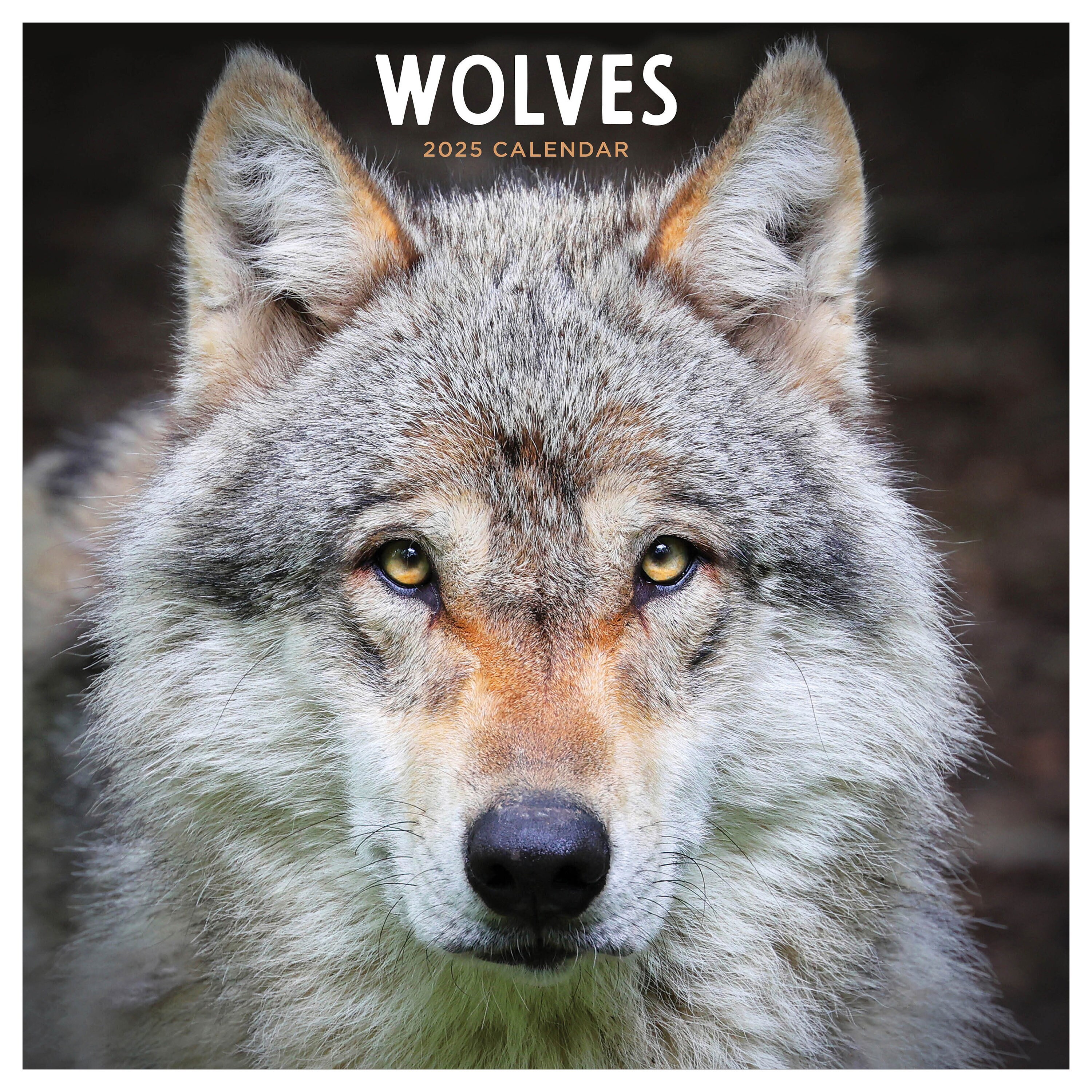 FINAL SALE 2025 Wolves Wall Calendar - Etsy FINAL SALE 2025 Wolves Wall Calendar - Etsy