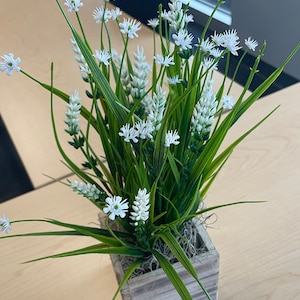 May include: A white flower arrangement in a rustic wooden planter. The flowers are small and white, and the leaves are green. The planter is made of wood and has a weathered look.