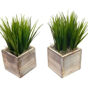 May include: Two artificial grass plants in square wooden pots with a whitewashed finish. The pots are made of wood with a rustic look.