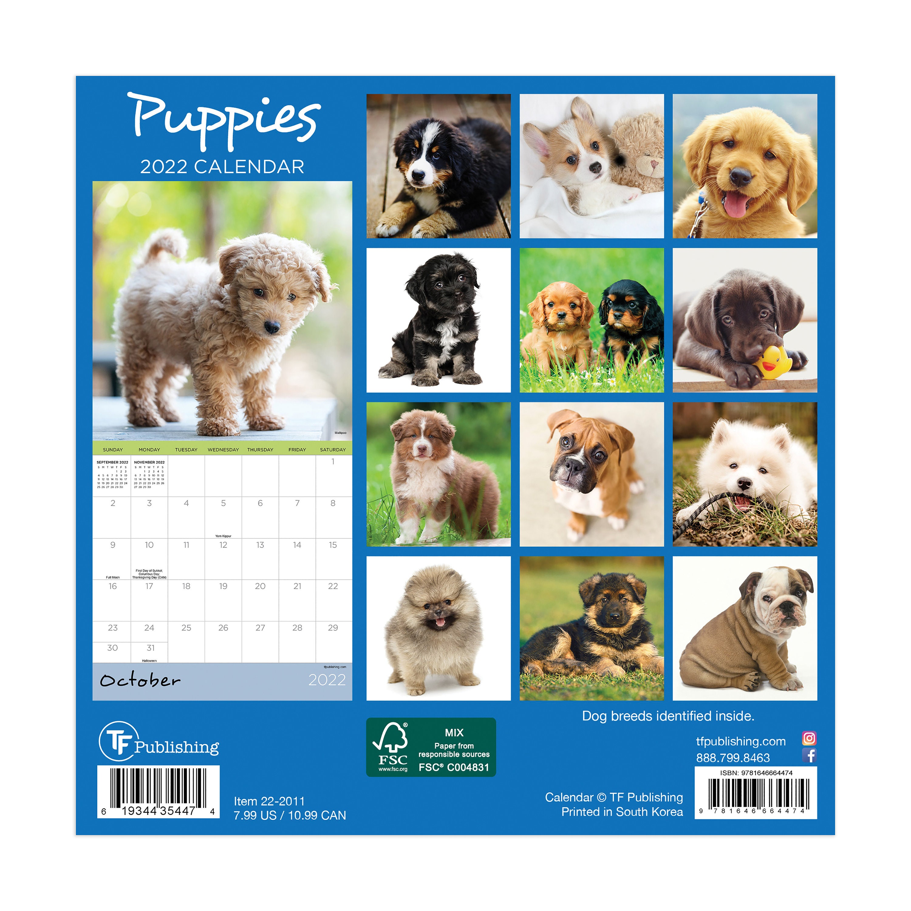 January 2022 December 2022 Puppies Mini Wall Calendar 7x7 Etsy