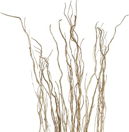 Curly Willow, Tortuous Willow, Curly Willow, Salix Tortuosa, Golden  Decoration 100cm, Curly Willow, Twigs, Branches, Bouquet, Gold Color -   Denmark