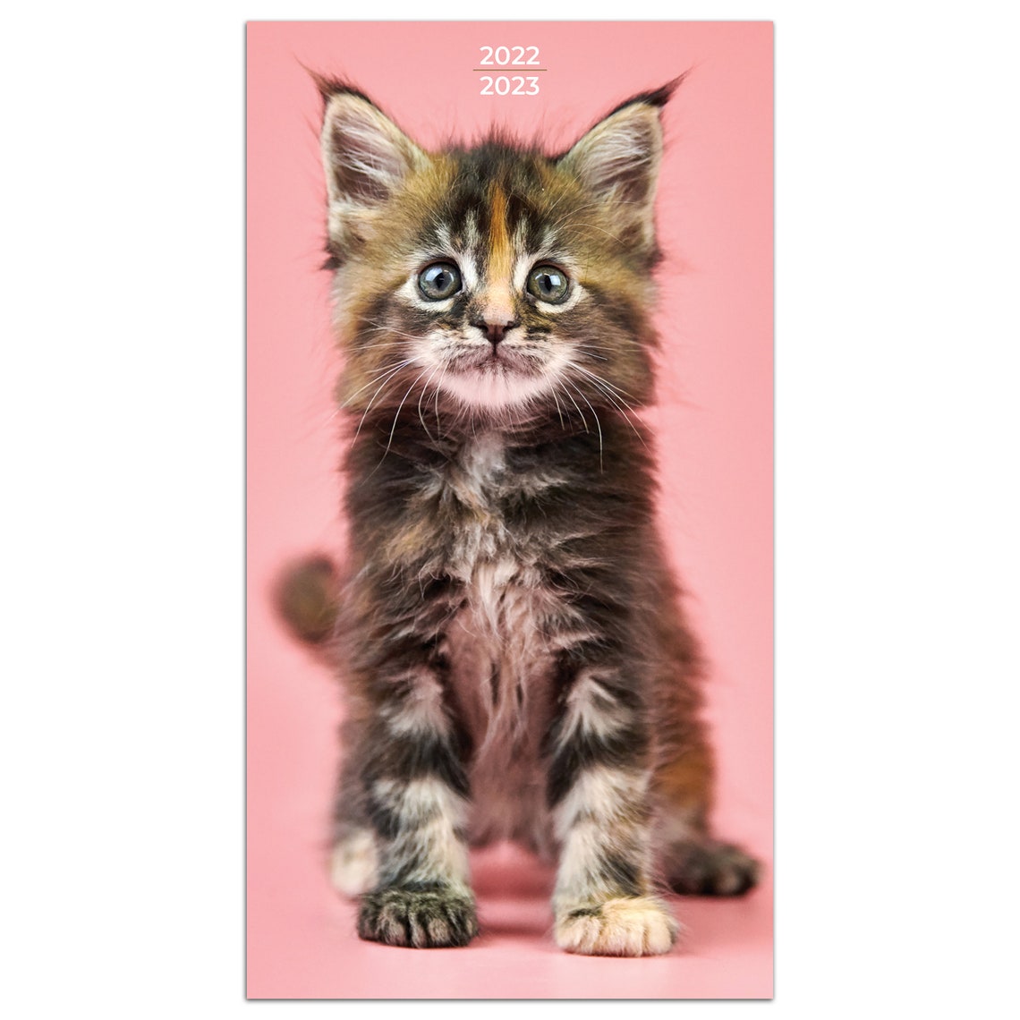 2022-2023 Kittens 2-Year Small Monthly Planner 3.5x6.5 | Etsy