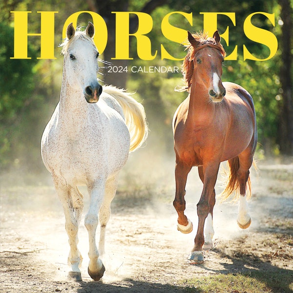 2024 Horses Calendar Etsy