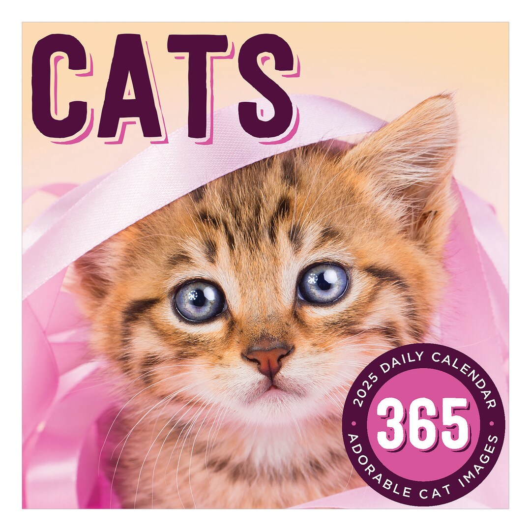 2025 Cat A Day Daily Desktop Calendar Etsy