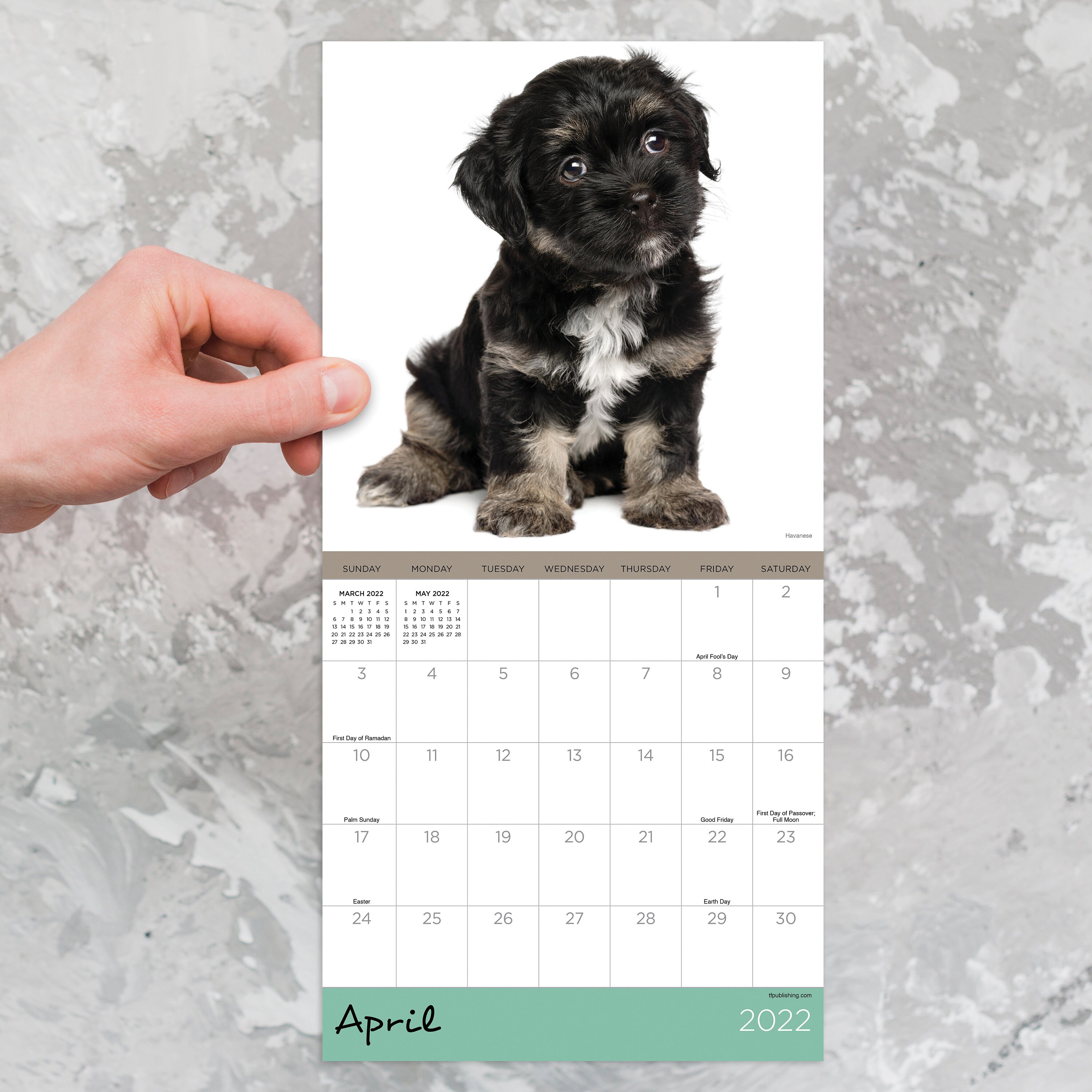 January 2022 December 2022 Puppies Mini Wall Calendar 7x7 Etsy