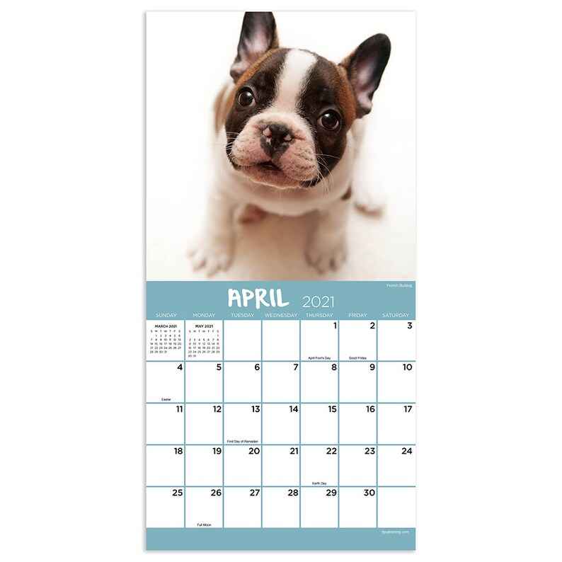 2021 Puppies Mini Wall Calendar 7x7 Etsy