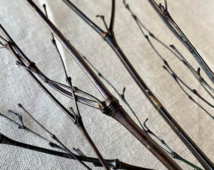 Bamboo Stick Branches/natural Bamboo Sticks/black Design Sticks/green