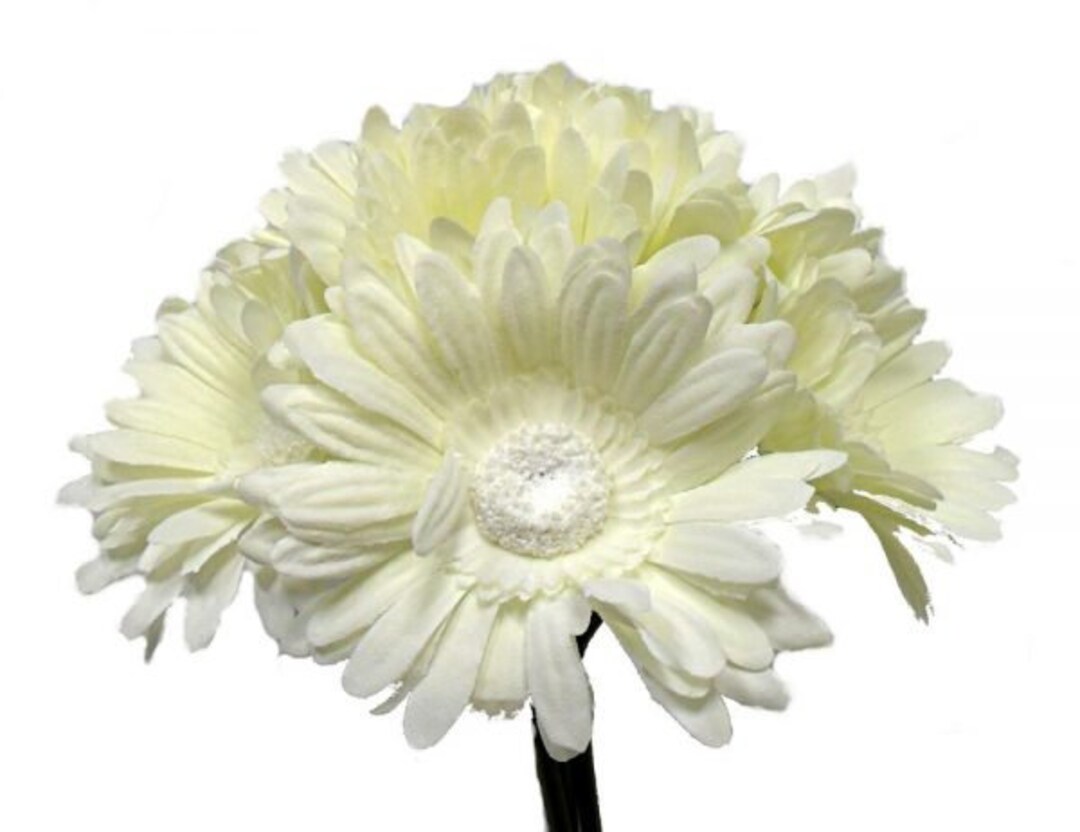 ARTIFICIAL Gerbera Daisy Bouquet 9 Stems 10in Cream ARTIFICIAL - Etsy