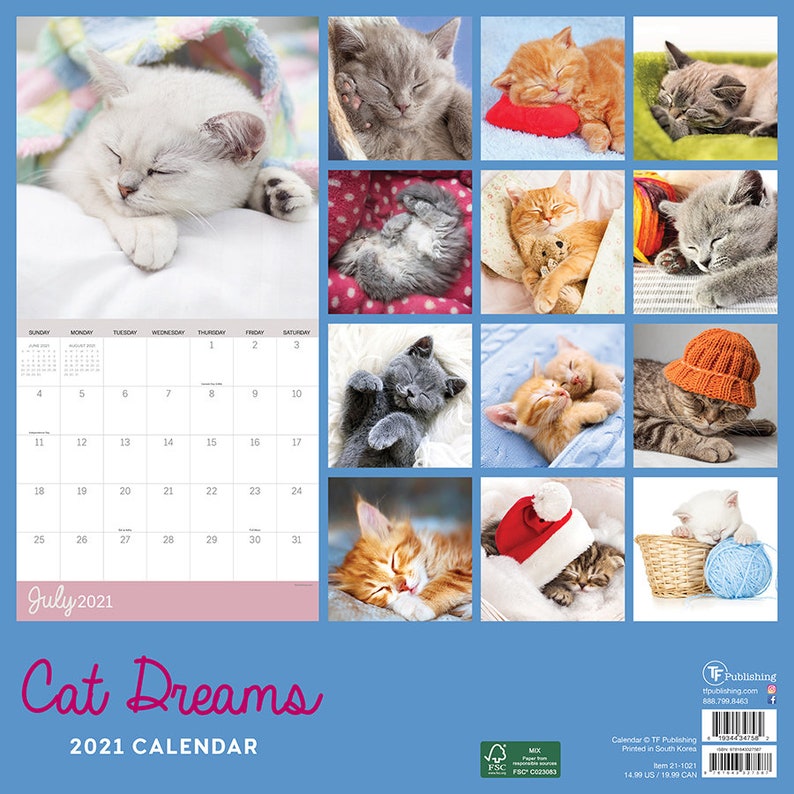 2021 Cat Dreams Wall Calendar 12x12 | Etsy
