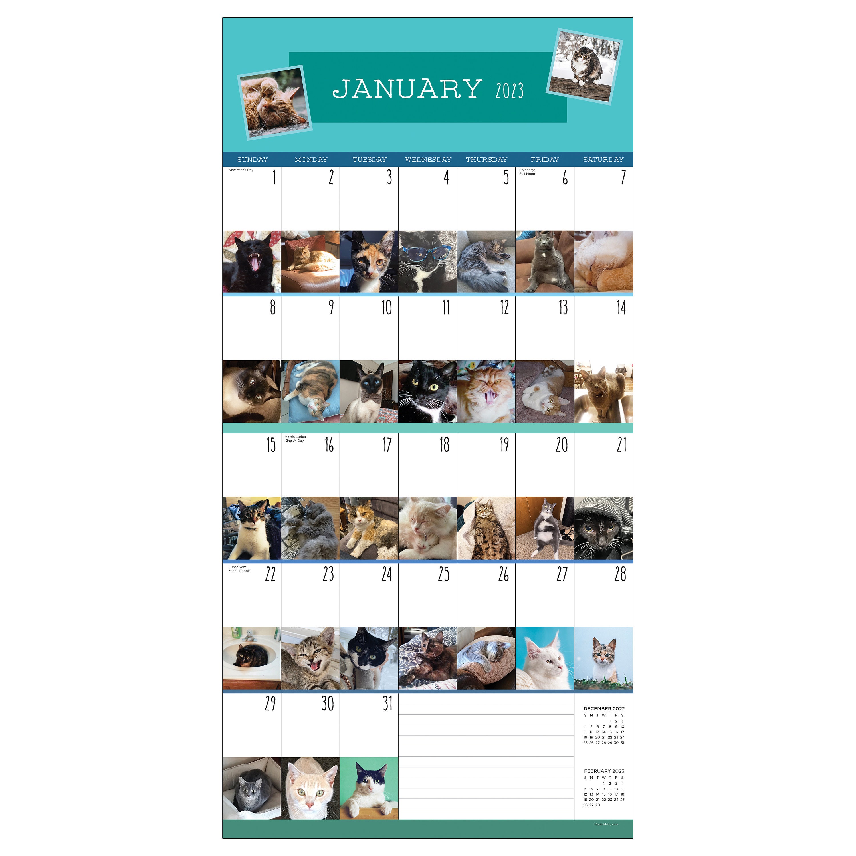 2023 Cataday Wall Calendar Etsy