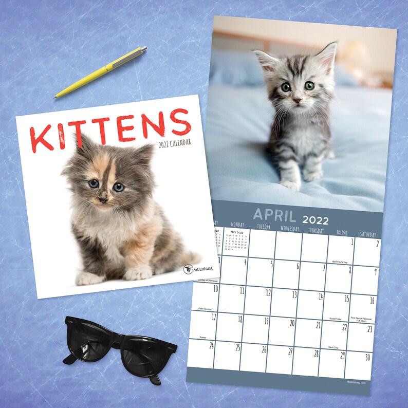 January 2022 December 2022 Kittens Mini Wall Calendar 7x7 Etsy