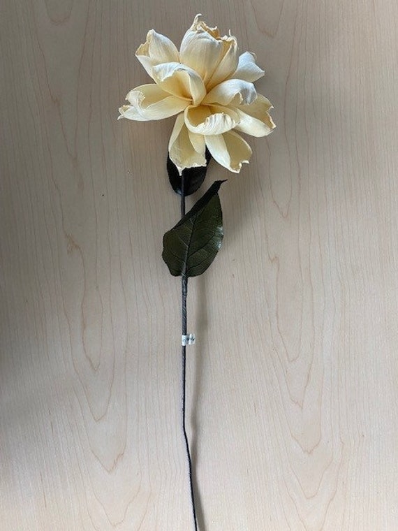 ARTIFICIAL Peony Single 1 Stem 14in White ARTIFICIAL - Etsy