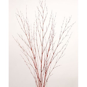 May include: A bunch of thin, twig-like branches with small, brown buds. The branches are arranged in a vase and are a light brown color.