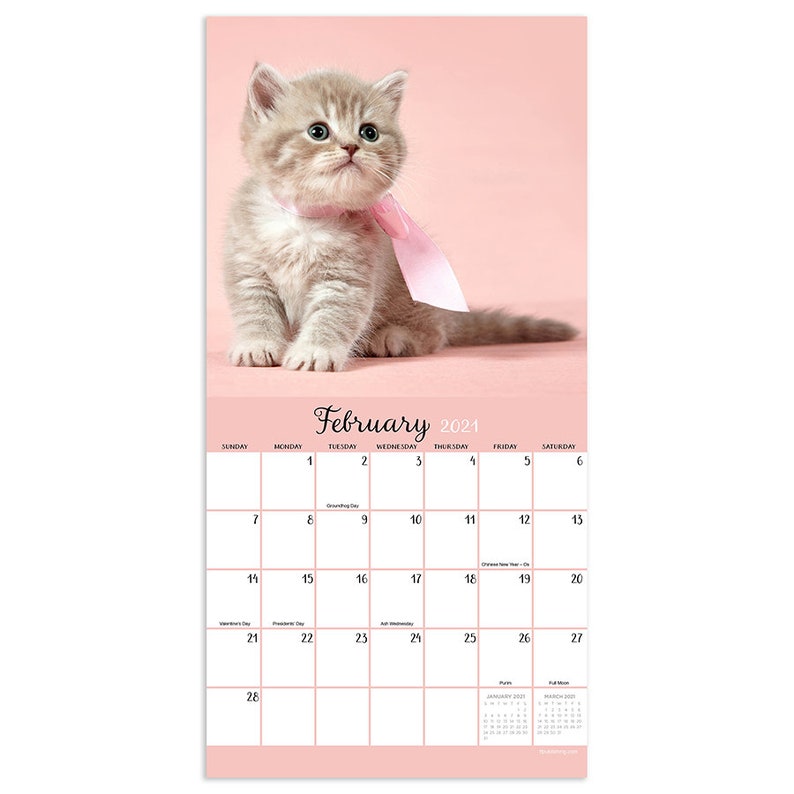 2021 Kittens Mini Wall Calendar 7x7 Etsy