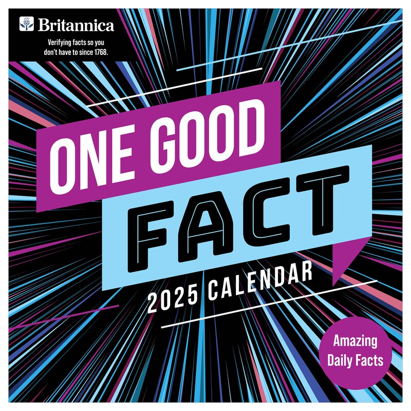 2025 Calendar Facts Etsy