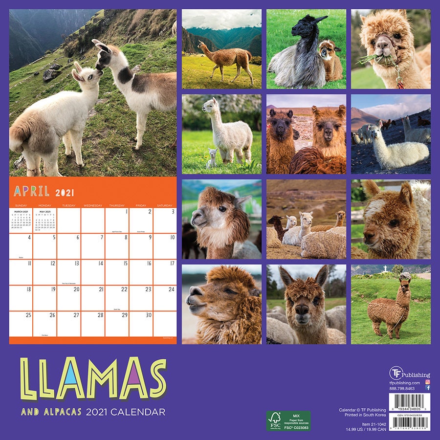 2021 Llamas Wall Calendar 12x12 Etsy