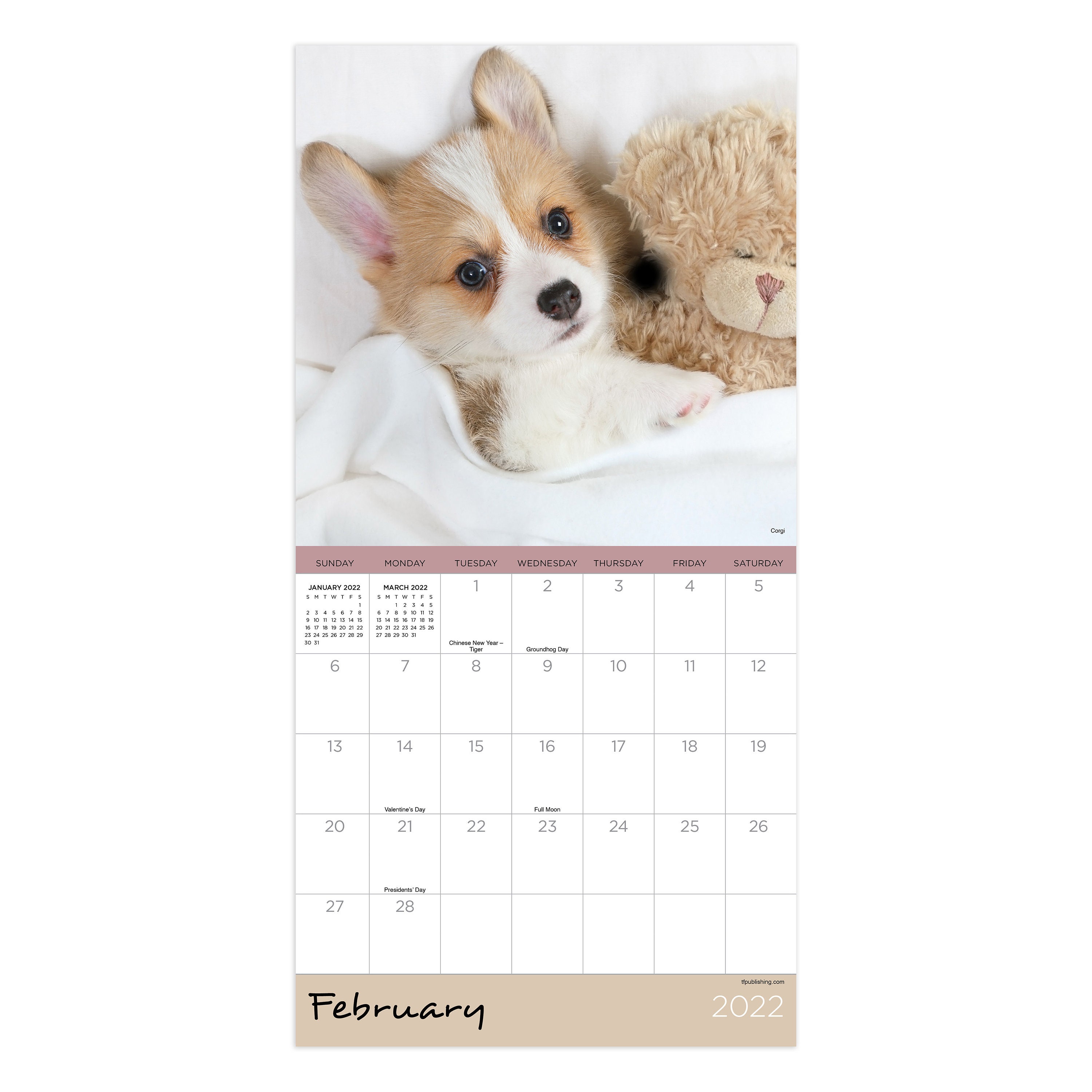 January 2022 December 2022 Puppies Mini Wall Calendar 7x7 Etsy