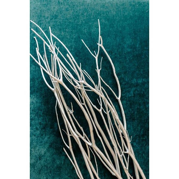 Mitsumata Branches Pack of 5 Branches 40in Silver