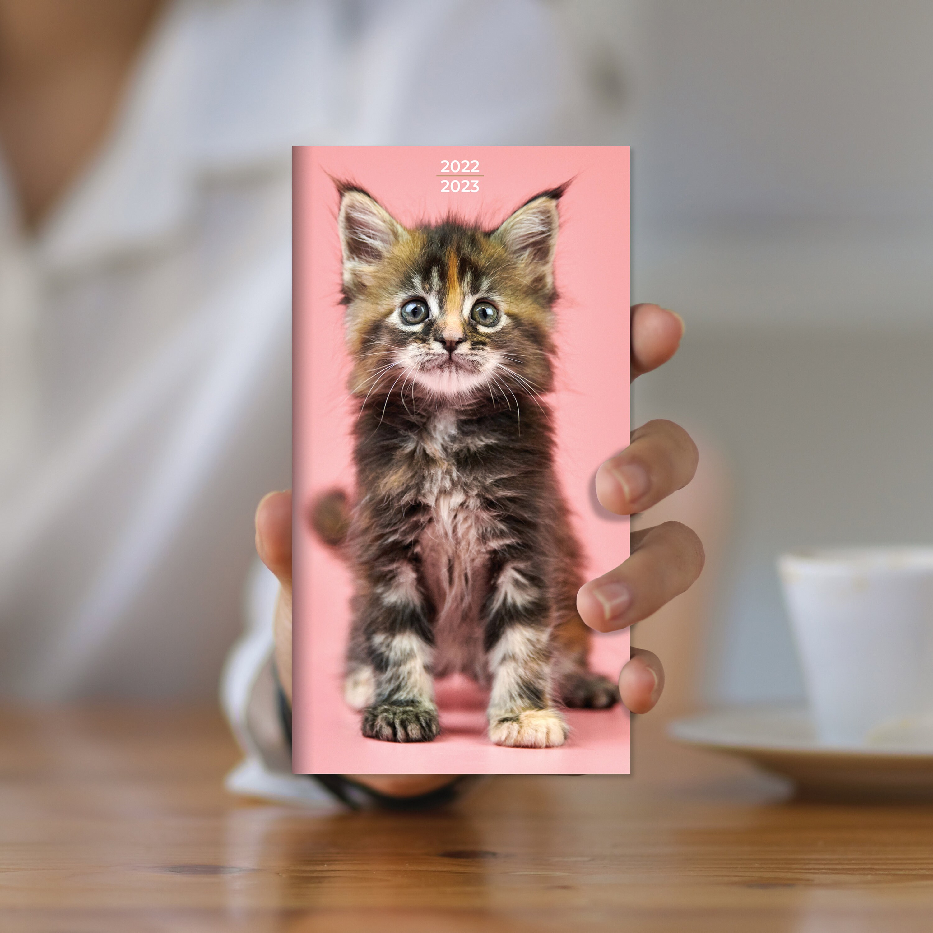 Cats Calendar 2023 20222023 Kittens 2Year Small Monthly Planner 3.5x6.5 Etsy