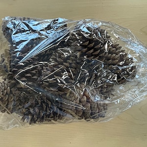 May include: A clear plastic bag filled with a large quantity of brown pine cones.
