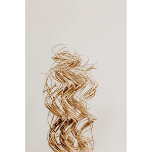 ARTIFICIAL Curly Ting Pack of 35 Stems 3-4ft Natural ARTIFICIAL
