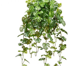 Könnte beinhalten: Künstliche Hängepflanze mit üppigen grünen Blättern, die einer Monstera ähneln. Die Pflanze hat mehrere Ranken mit Blättern in verschiedenen Größen, was einen realistischen und vollen Look erzeugt.