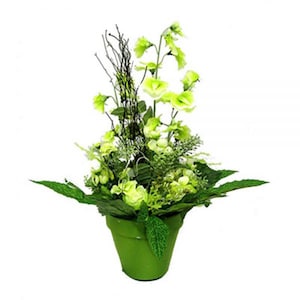 May include: A green potted plant with light green flowers and leaves. The plant is in a green ceramic pot.